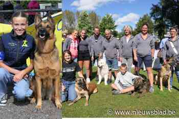 Hond en baasje strijden samen voor winst in Belgisch kampioenschap gehoorzaamheid