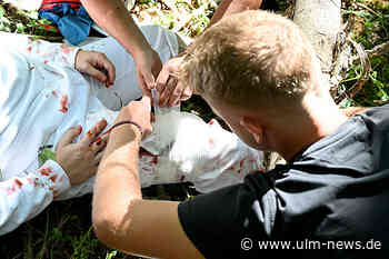 Mit der Motorsäge in Bein gesägt - Übung beim Forsttag 2024 erfolgreich