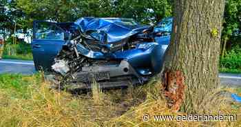 Drama na familie-uitje: vrouw (85) uit Berkel-Enschot komt om bij botsing met graafmachine in Budel