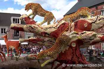 Bloemencorso in Loenhout weer groot succes