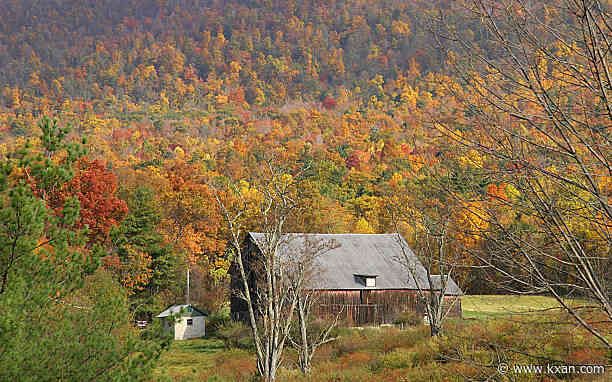 The Fall Foliage Season is on the way