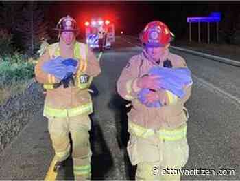 Firefighters bring two people and two cats to safety after Highway 417 rollover