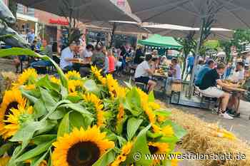 Die Mischung macht's – warum der "Haller Herbst" begeistert