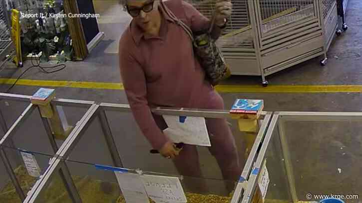 Video shows woman allegedly stealing $2,400 baby bird from Florida pet store