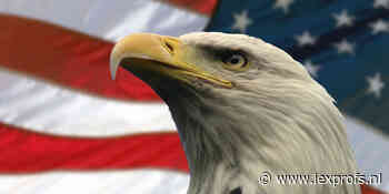 Must read: Niks geen Amerikaanse recessie