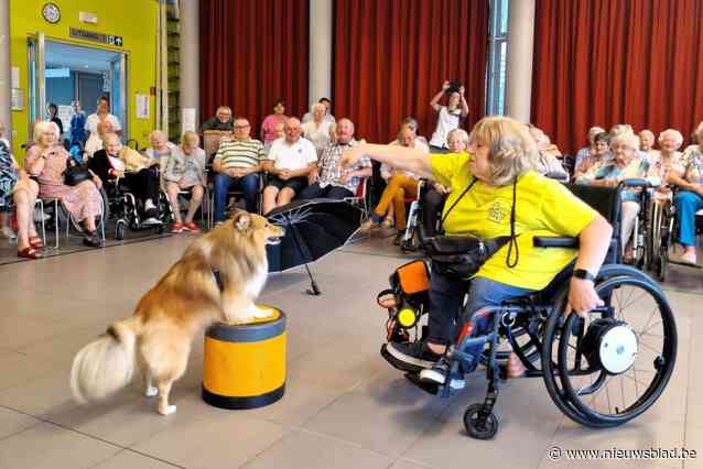 Senioren De Meers genieten van hondenshow