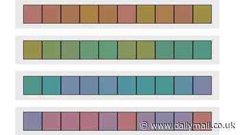 What's YOUR colour IQ? Take the test to see how your perception of different shades compares to other people your age