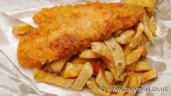 Revealed: The formula for the perfect fish and chips - and why scientists say you should include one VERY unusual ingredient in your batter
