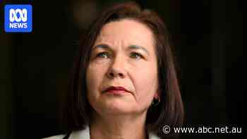 'Conflict has been brought upon us': Mining industry slams Albanese over industrial relations reform