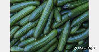 TikTok-hype met komkommers ook in Nederland