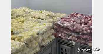 Grieks uienseizoen nadert einde