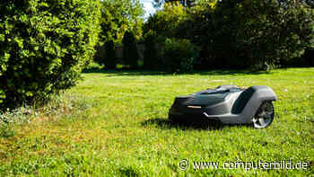 Mähroboter: Dürfen sie nachts bald nicht mehr fahren?