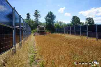 Klimaneutralität als Ziel: Neue Pläne für einen Energiepark am FMO