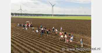 In totaal 12.050 kilo gerooid op Nationale Aardappelrooidag