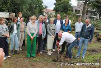 Aanleg nieuw Egmontpark in hartje Gavere gestart