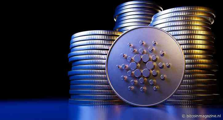 Cardano netwerkactiviteit piekt: gaat de ADA koers stijgen?