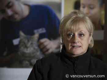 Why B.C. SPCA shelters are seeing a sharp spike in animals