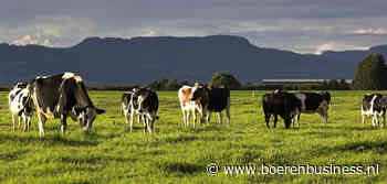 Betere start voor melkseizoen Australië