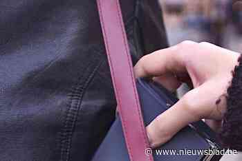 Dakloze krijgt 6 maanden cel voor diefstal nadat hij in auto op oprit in Genk slaapt