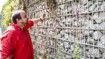GeoTour am Schlossberg: Wo in Nagold Wasser zu Stein wird