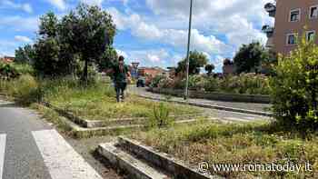 Cura aree verdi, il II municipio vuole chiedere aiuto ai cittadini. Che lo faranno gratis