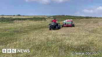 National Trust hits nature target with Cornwall's help