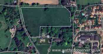 Plans to use green belt land for alpaca grazing face council scrutiny