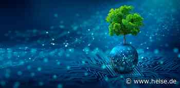 Programmieren für die Umwelt: 48-stündiger Hackathon in Mannheim