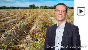 Laatste groeifase houdt de gemoederen bezig