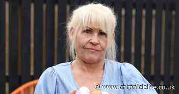 Newcastle neighbours left unable to use their garden for fear children 'will be killed' by a flying golf ball