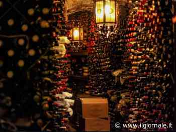 Bottega Vini, il tempio del vino veronese