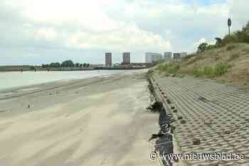 Strand van Sint-Anneke zit voor een groot deel zonder zand: Vlaamse Waterweg gaat op zoek naar oorzaak