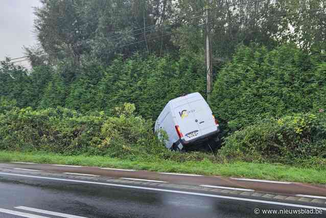 Bestelwagen gaat uit de bocht en belandt tegen haag