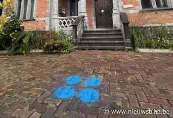 Vlag en stippen maken pesten bespreekbaar