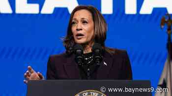 Harris campaign adds concrete outline of her policy platform to its website just ahead of debate