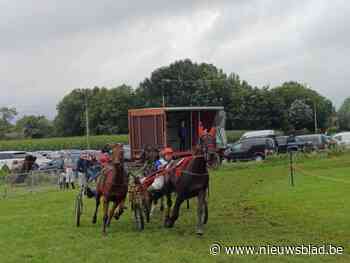 Paarden renden maandag wellicht laatste keer op site Dadipark: “Deze  folklore mag niet verloren gaan”