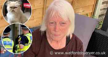 Loose dog gets into mum's home and ‘massacres’ cat in lounge