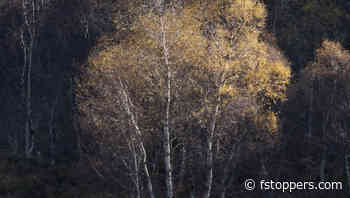 How Light and Contrast Shape Color in Your Landscape Photos