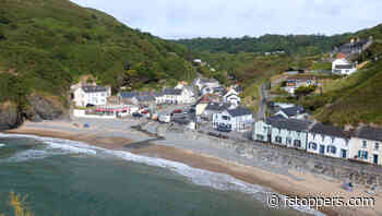 Sigma vs. Tamron vs. Canon: Which Zoom Lens Wins?