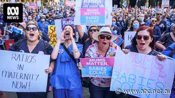 NSW nurses and midwives to press ahead with 12-hour strike despite IRC order