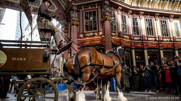 Get your free pint! Young’s pubs marks 193rd birthday with a week-long giveaway