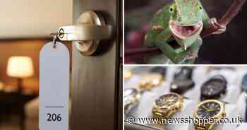 From lizards to a car tire - The weirdest items left in hotel rooms revealed