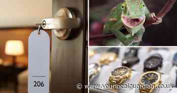 From lizards to a car tire - The weirdest items left in hotel rooms revealed