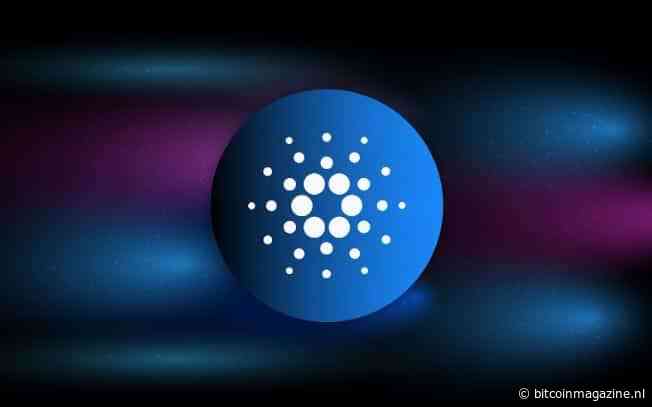 Cardano laat indrukwekkende groei zien in maandelijks rapport