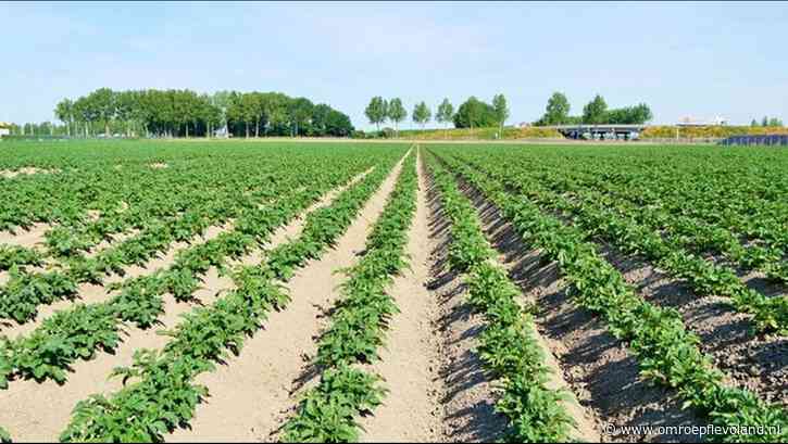 Flevoland - Boeren willen geen landbouwgrond opofferen voor defensieplannen en woningbouw