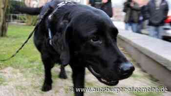 Polizei erwischt Hundehalter
