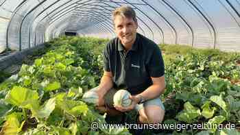 Die Melonen aus Eickhorst kommen bei den Kunden sehr gut an