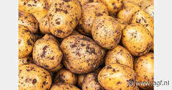 Australië vrij van aardappelziekte type A2