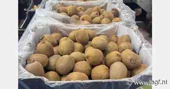 Griekse kiwi-oogst +15%