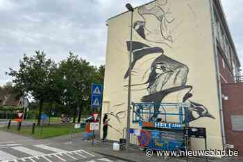 Kievit centraal in nieuw graffitikunstwerk van Argentijnse kunstenares